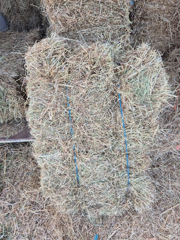 Kleine botten hooi te koop, Enlèvement