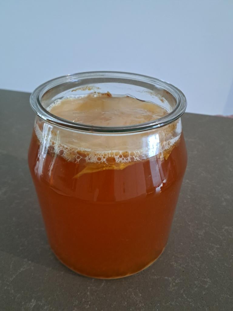 Gezonde scoby voor kombucha, Enlèvement