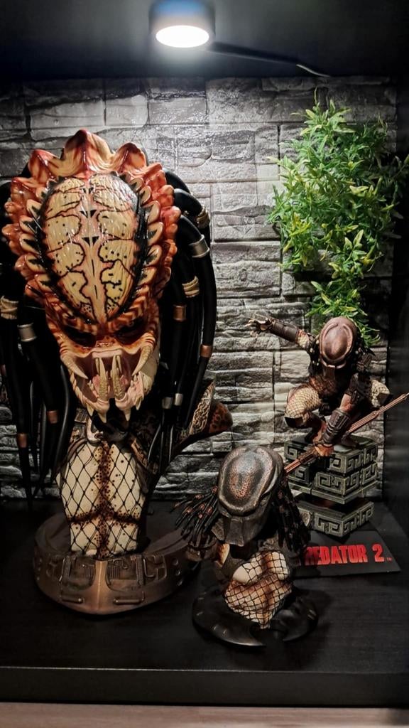 Buste de Sideshow Predator City Hunter, Enlèvement