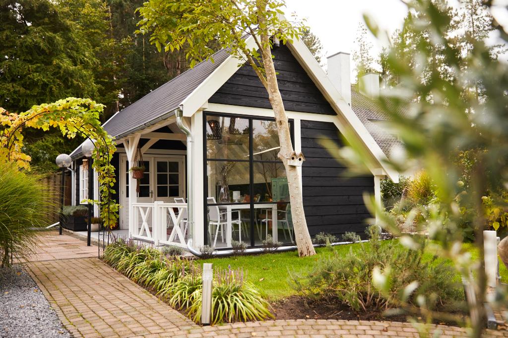 Barn Douglasvision sur mesure Excellente base : 600 x 400 cm, Envoi, Neuf