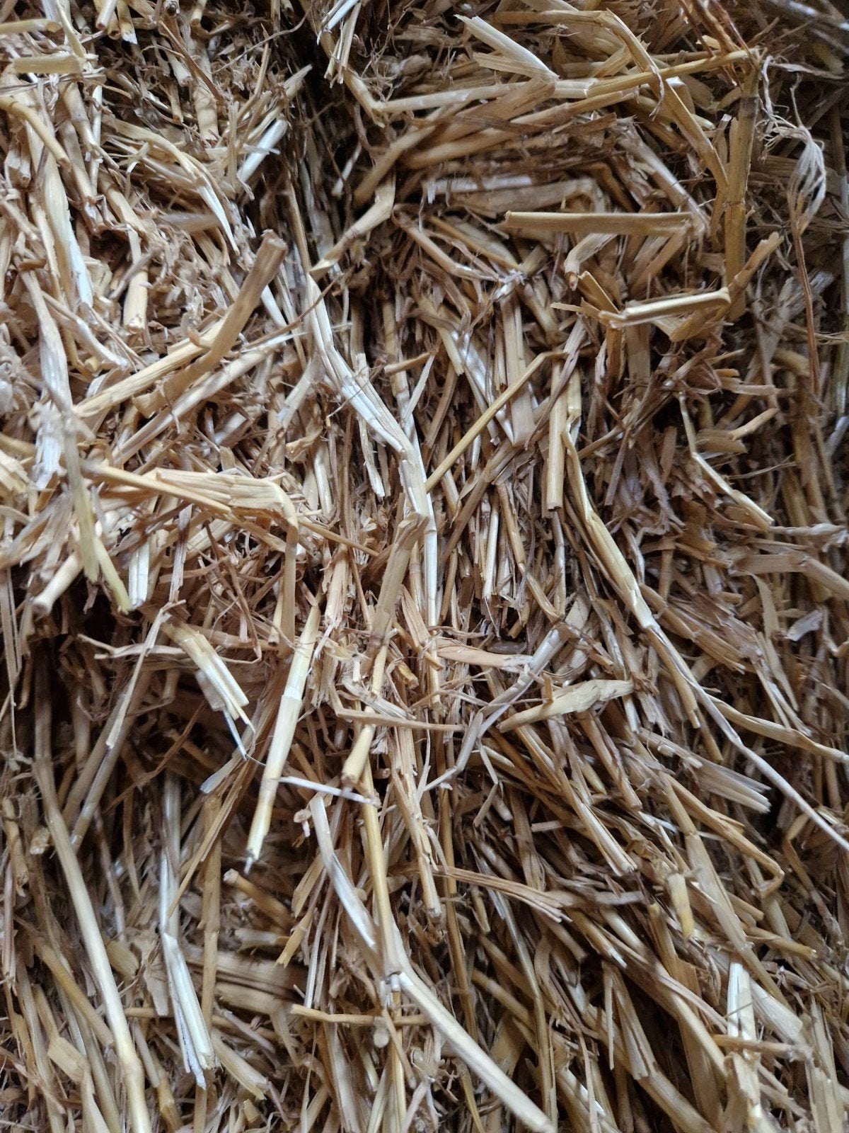 Tarwestro en graszaadhooi