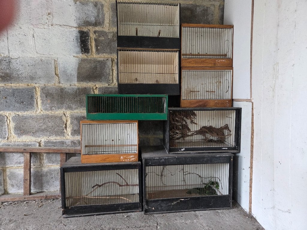 Lot cages bon etat mais a renettoyer, Animaux & Accessoires, Enlèvement, Utilisé