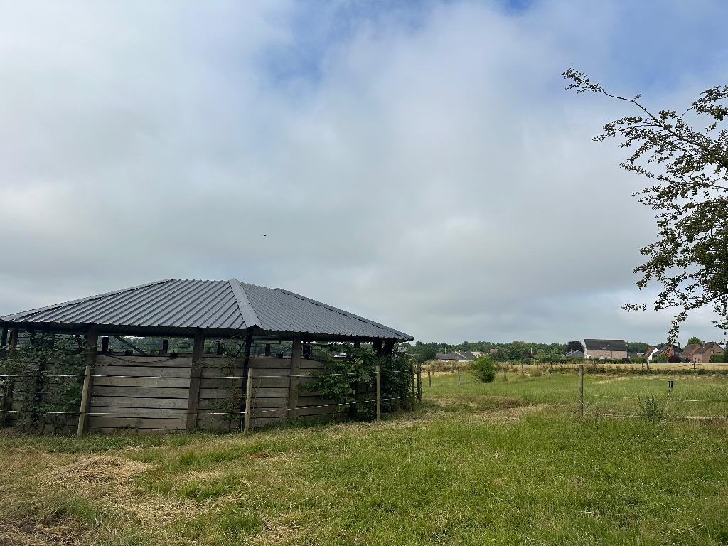 Boxes disponibles, Stalling, 4 paarden of pony's of meer