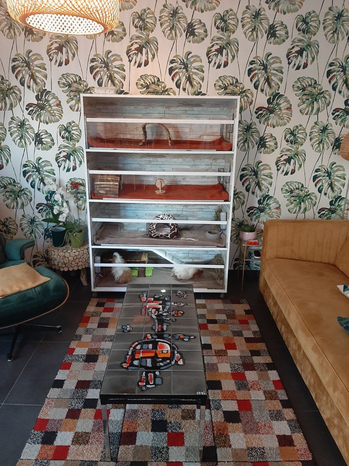 Appartement cobaye à 4 étages + tapis sur mesure, 90 cm ou plus, Cobaye, Cage, Enlèvement