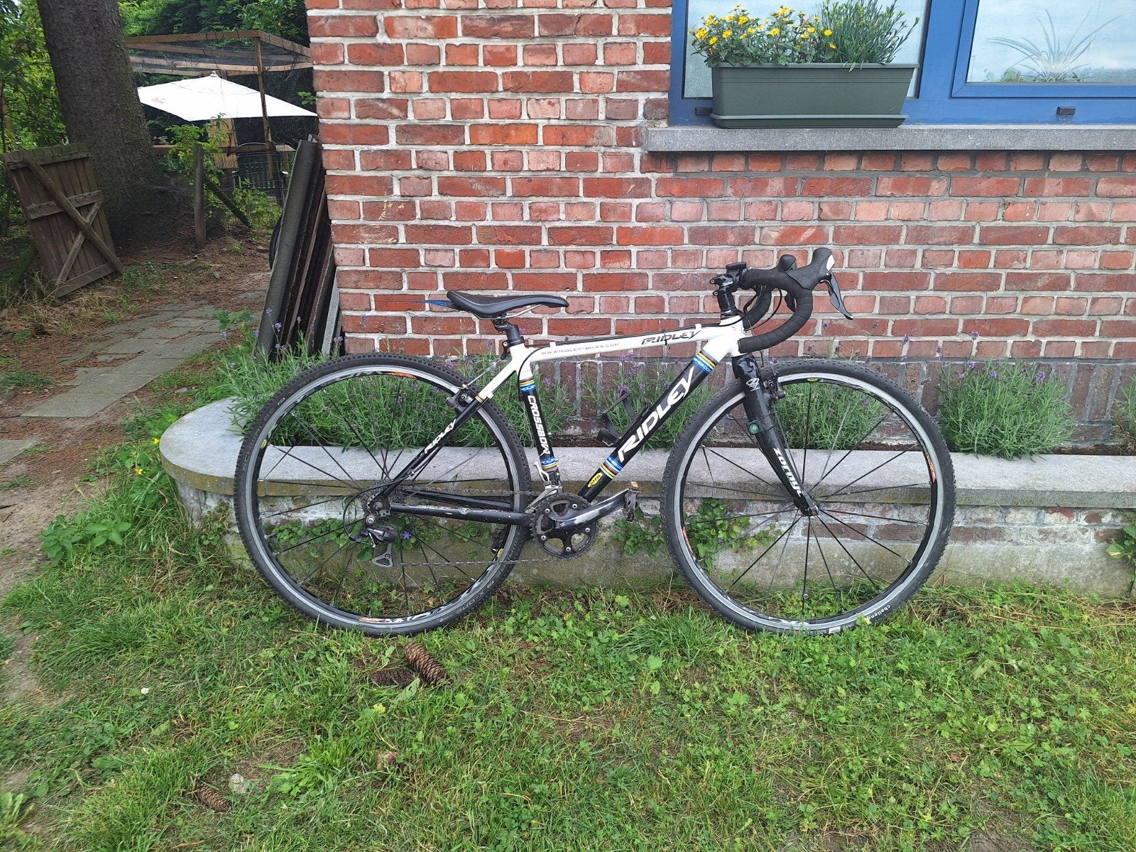 Koersfiets te koop., Frein sur jante, Moins de 10 vitesses, Enlèvement, Utilisé