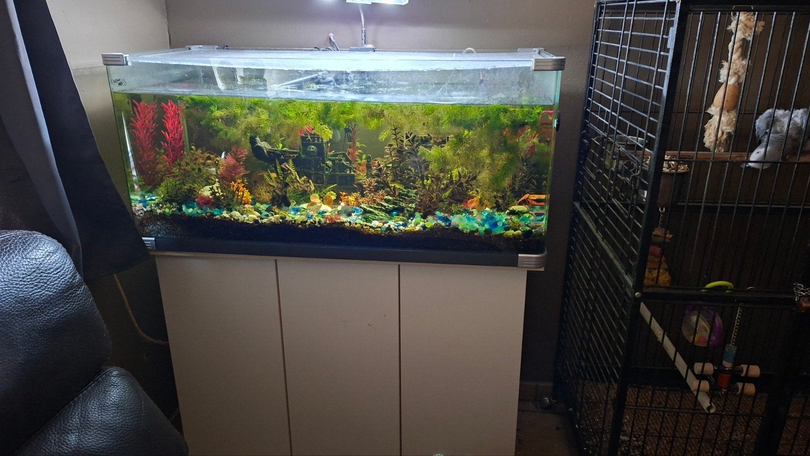 lege aquarium 207 Lmet kast te koop, Ophalen, Pomp, Gebruikt, Decoratie