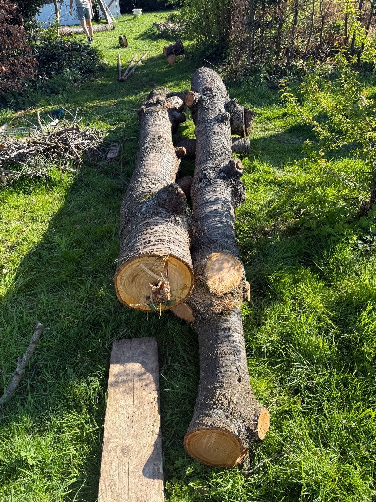 5 kerselaar boomstammen, Ophalen