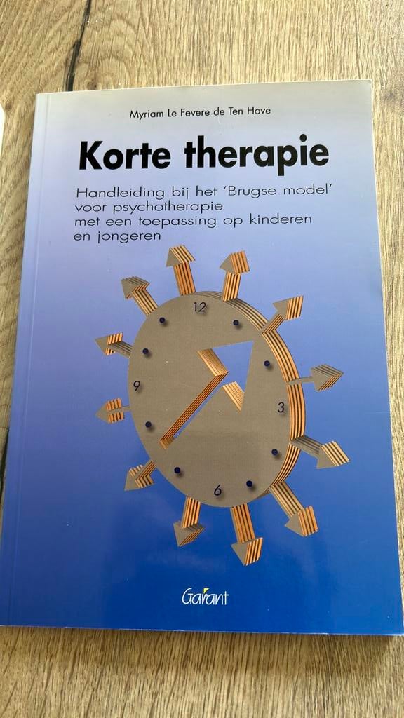 Trauma en Herstel, Gestalttherapie en Korte therapie, Boeken, Ophalen, Zo goed als nieuw