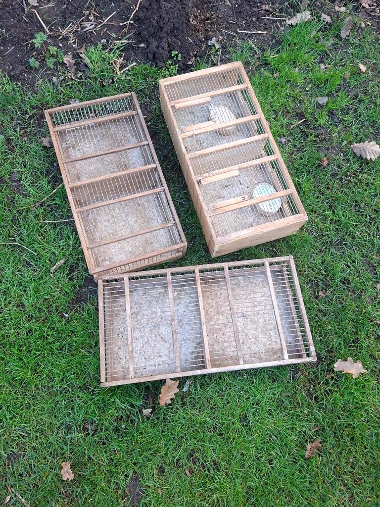 Transportbakken 12 euro stuk  2 voor 20 euro, Dieren en Toebehoren, Vogels | Overige Vogels