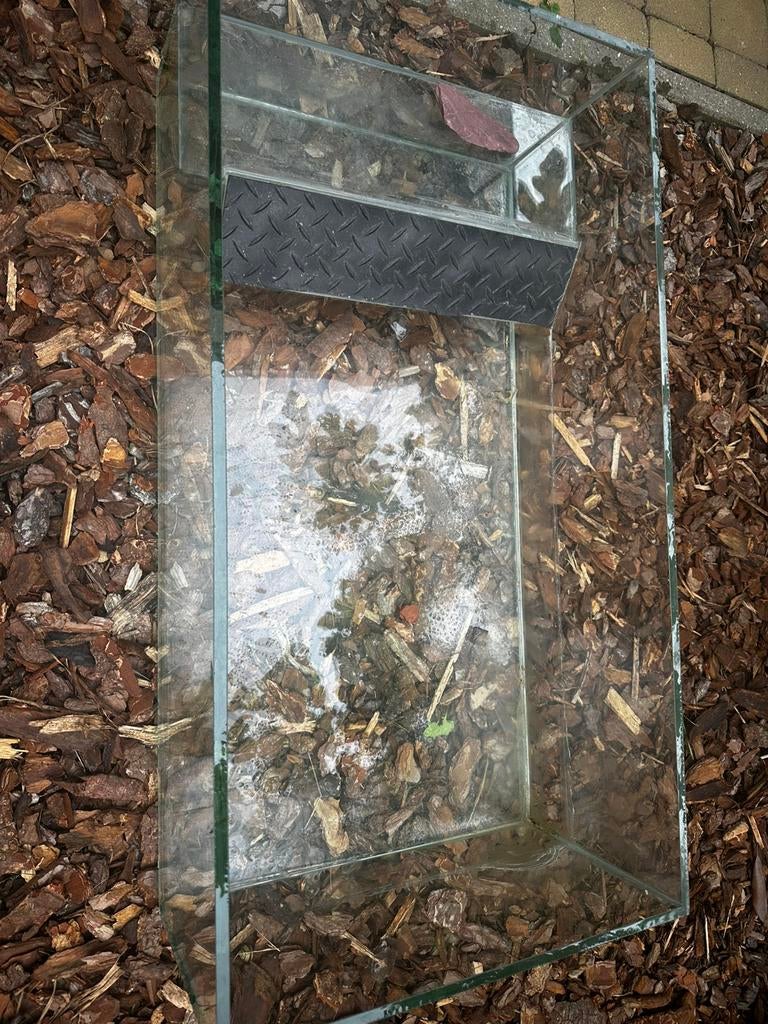 Schildpadden bak glas, Dieren en Toebehoren, Ophalen, Gebruikt, Terrarium of Paludarium
