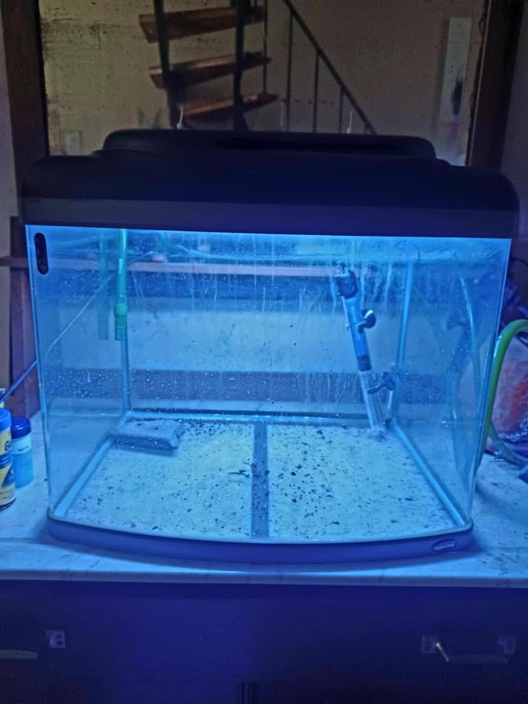 Superfish panorama opnieuw te koop, Ophalen
