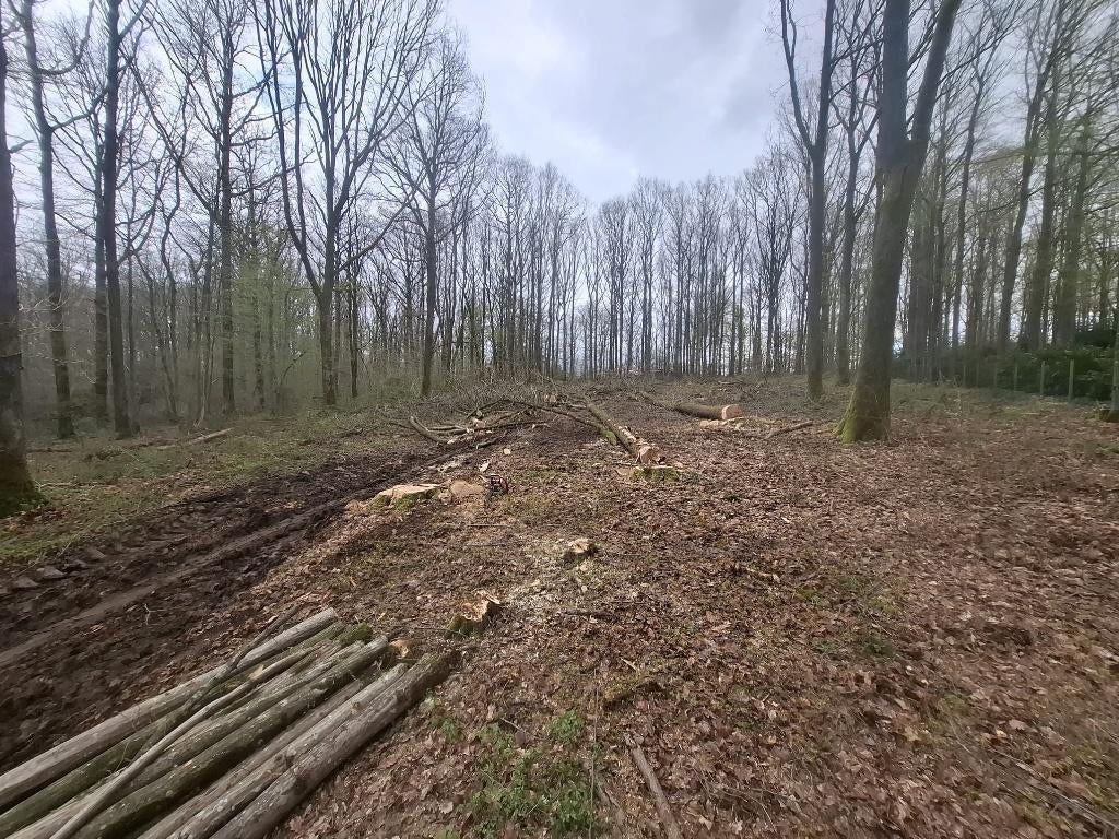 Bouwgrond te koop, Immo, Gronden en Bouwgronden, 1500 m² of meer