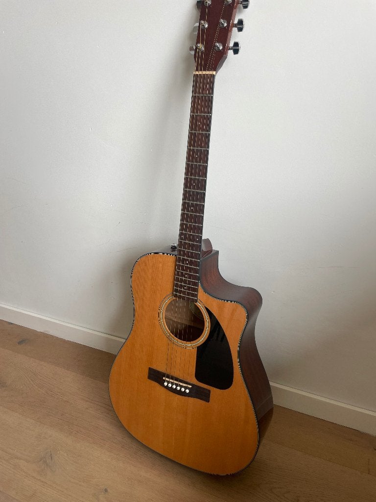 Fender gitaar, Muziek en Instrumenten, Ophalen, Zo goed als nieuw, Hollow body, Fender