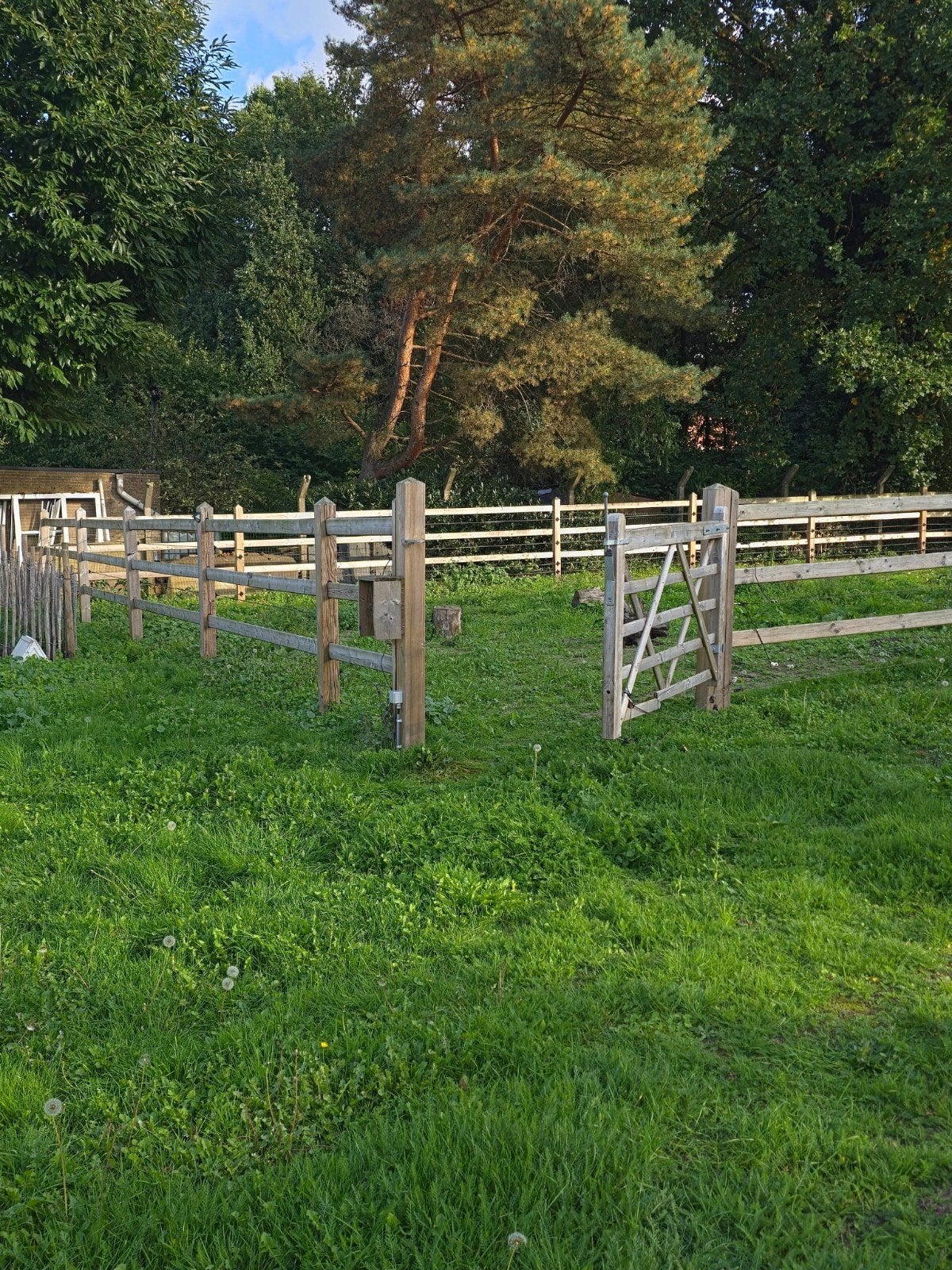 Paardenbak inclusief stroom en hok, Weidegang, 2 of 3 paarden of pony's