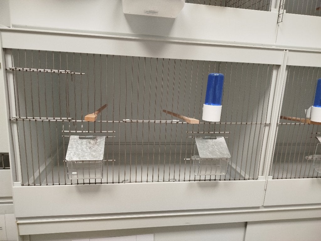 Prima kunststof kweekkooi, Ophalen, Nieuw, Kunststof