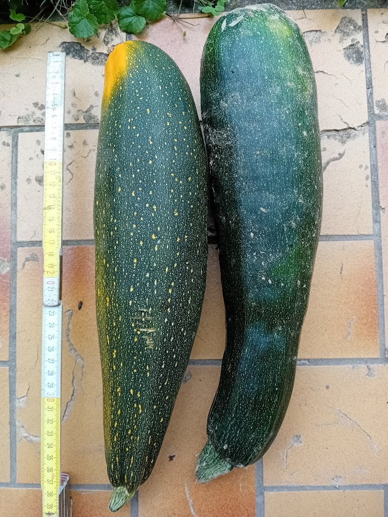 Bio gourgette, Enlèvement