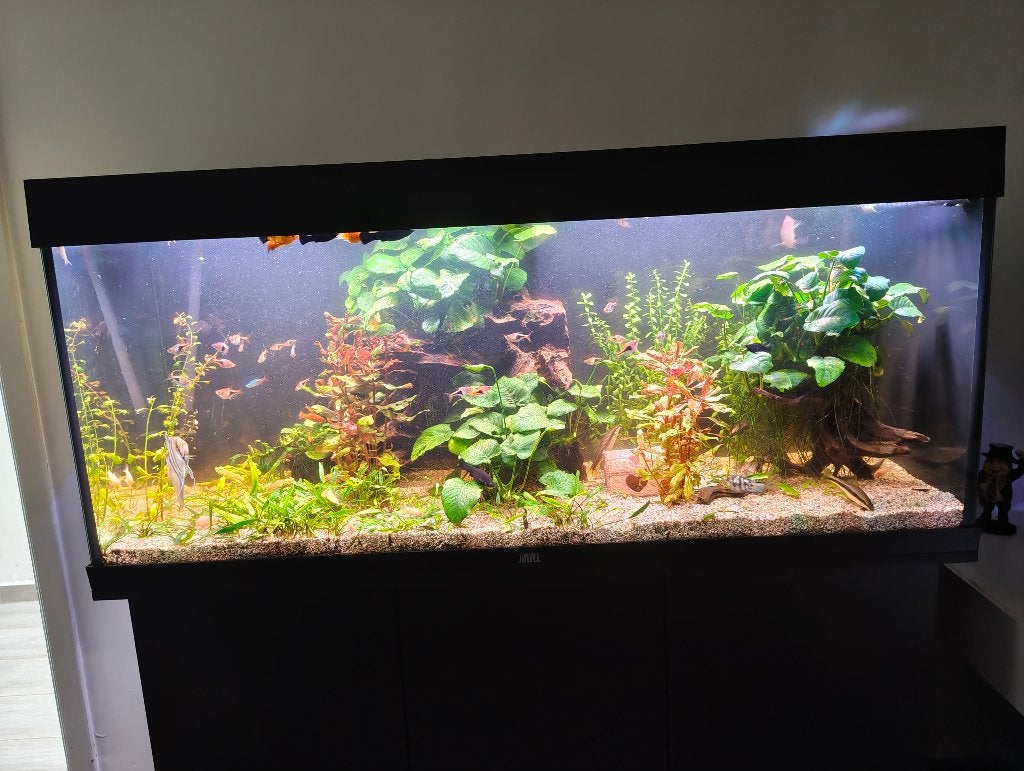 Aquarium 1m20, Aquarium vide, Enlèvement, Juwel, Chauffage
