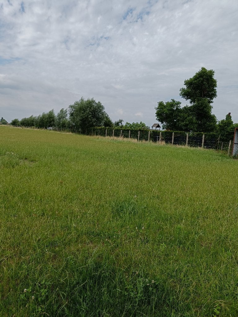 weidegang voor 2 paarden met schuilhok, Dieren en Toebehoren, Paarden