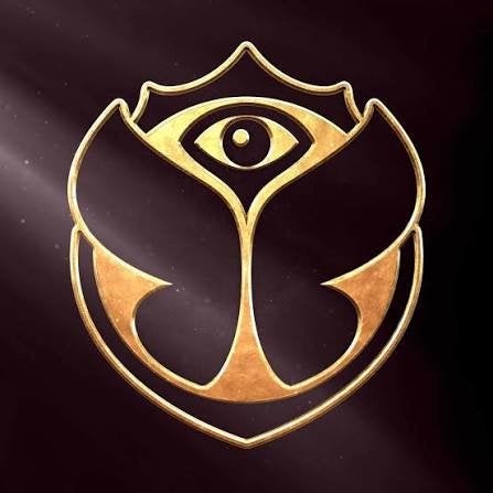 Recherche 2 tickets tomorrowland 17/07/26, Tickets en Kaartjes