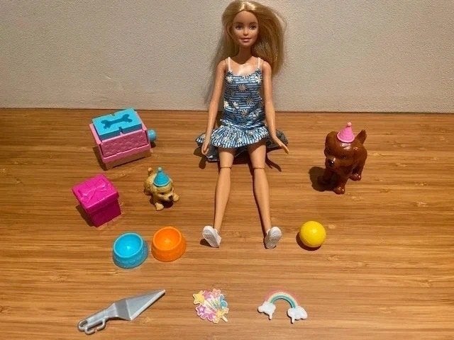 Barbie anniversaire de chiots, Enlèvement ou Envoi, Barbie