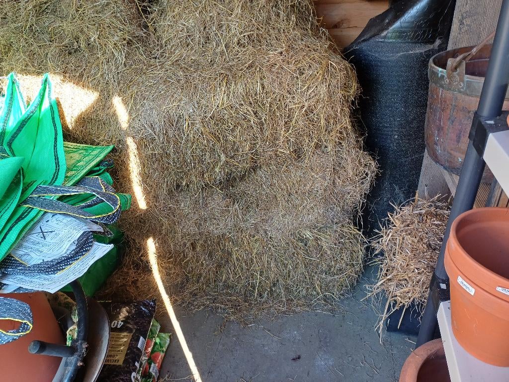 Petits ballots de foin a donner, Dieren en Toebehoren, Ophalen, Knaagdier of Konijn