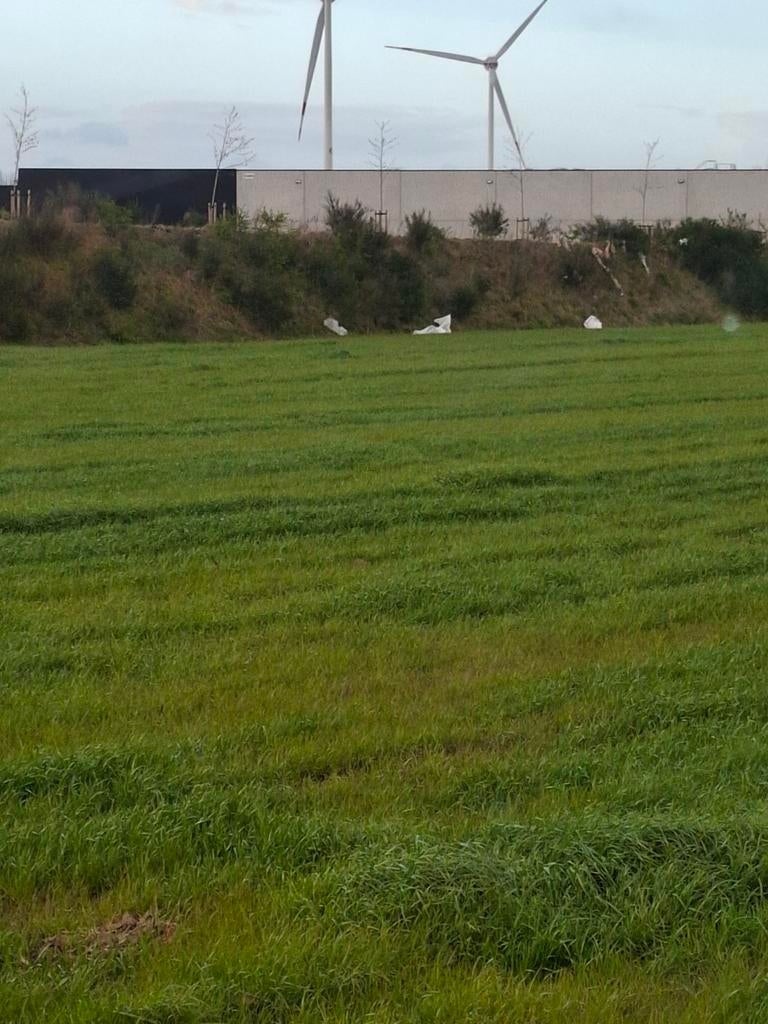 Weide gezocht, Dieren en Toebehoren
