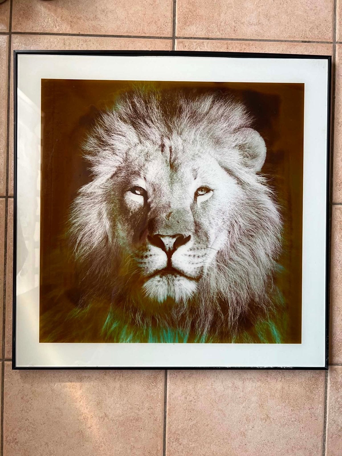 Cadre en forme de lion, Enlèvement ou Envoi, Comme neuf