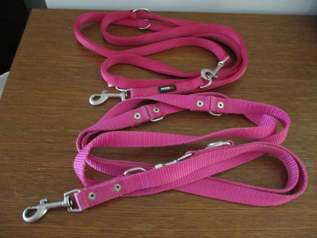 leiband voor hond, Dieren en Toebehoren, Ophalen of Verzenden, Zo goed als nieuw