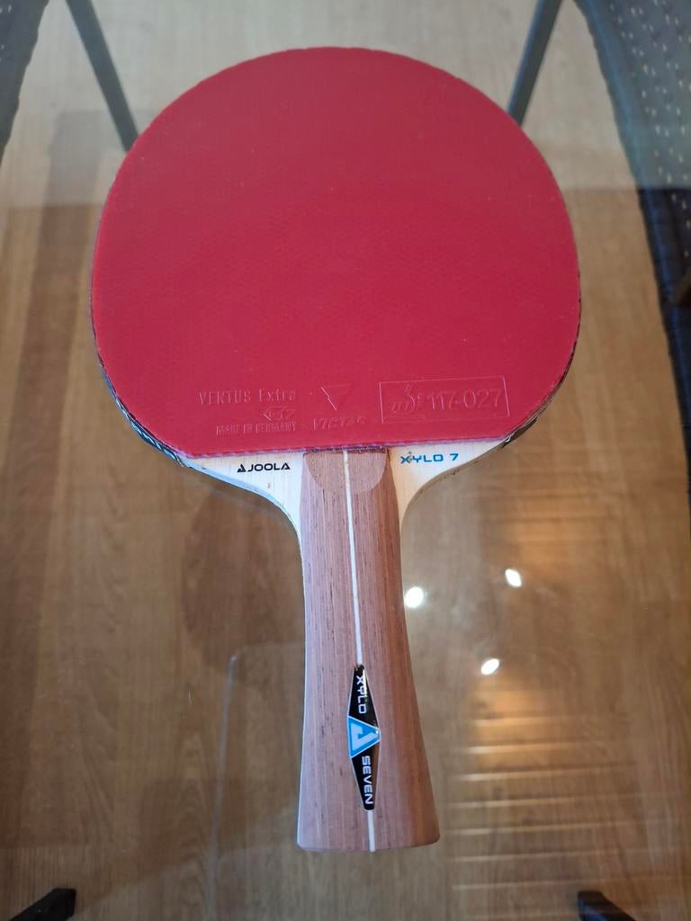 Nieuw pingpongpallet voor beginner of pro, Enlèvement ou Envoi, Neuf