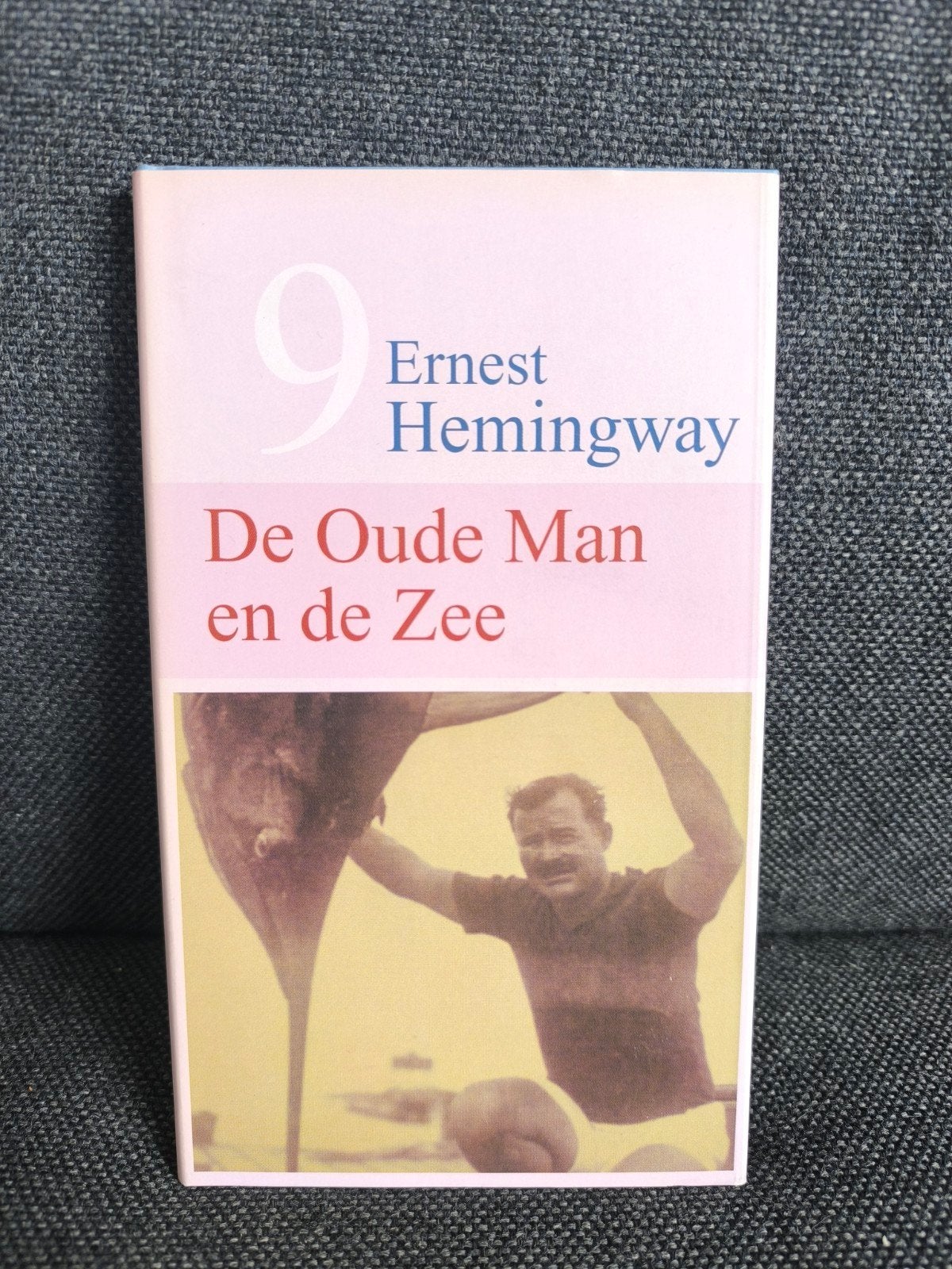 De oude man en de zee (Ernest Hemingway), Boeken, Ophalen, Zo goed als nieuw, Ernest Hemingway (1899-1961)
