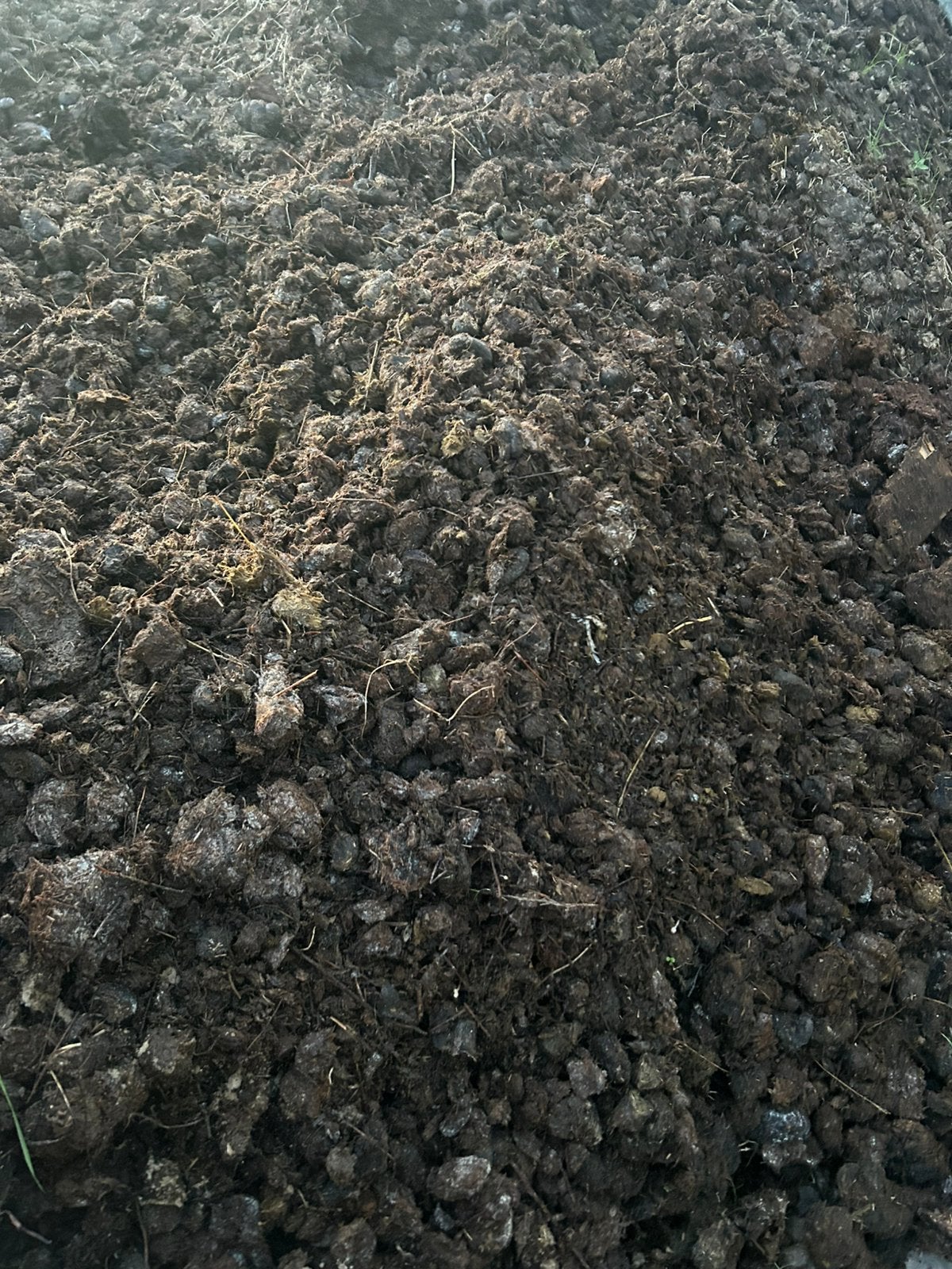 Gratis paardenmest, Tuin en Terras, Ophalen