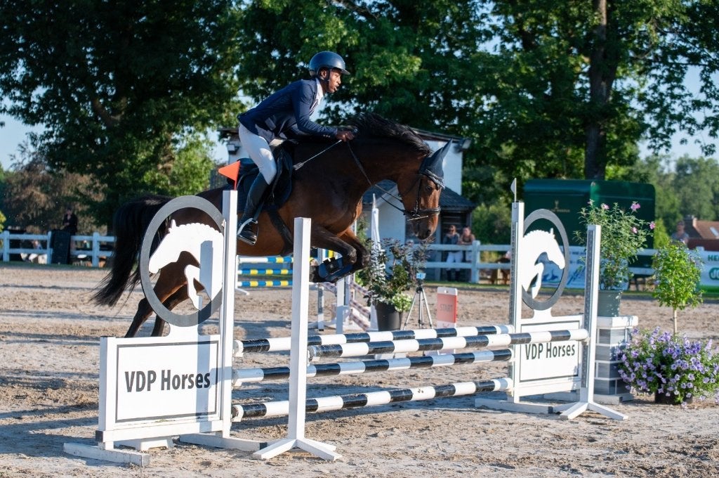 Springpaard gezocht, Dieren en Toebehoren, Paarden, Springpaard