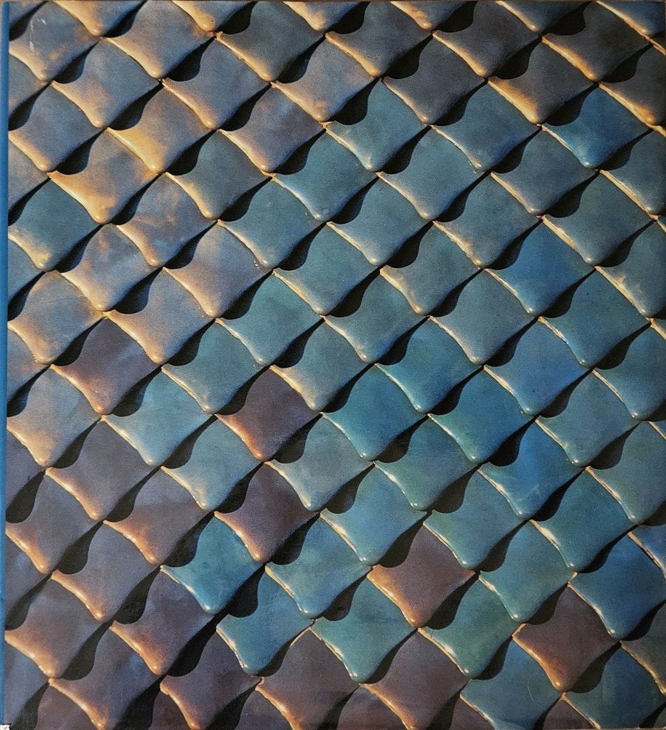 Casa Batlló, Barcelona, Gaudí - Juan José Lahuerta - 2001, Juan José Lahuerta, Architecten, Ophalen of Verzenden, Zo goed als nieuw