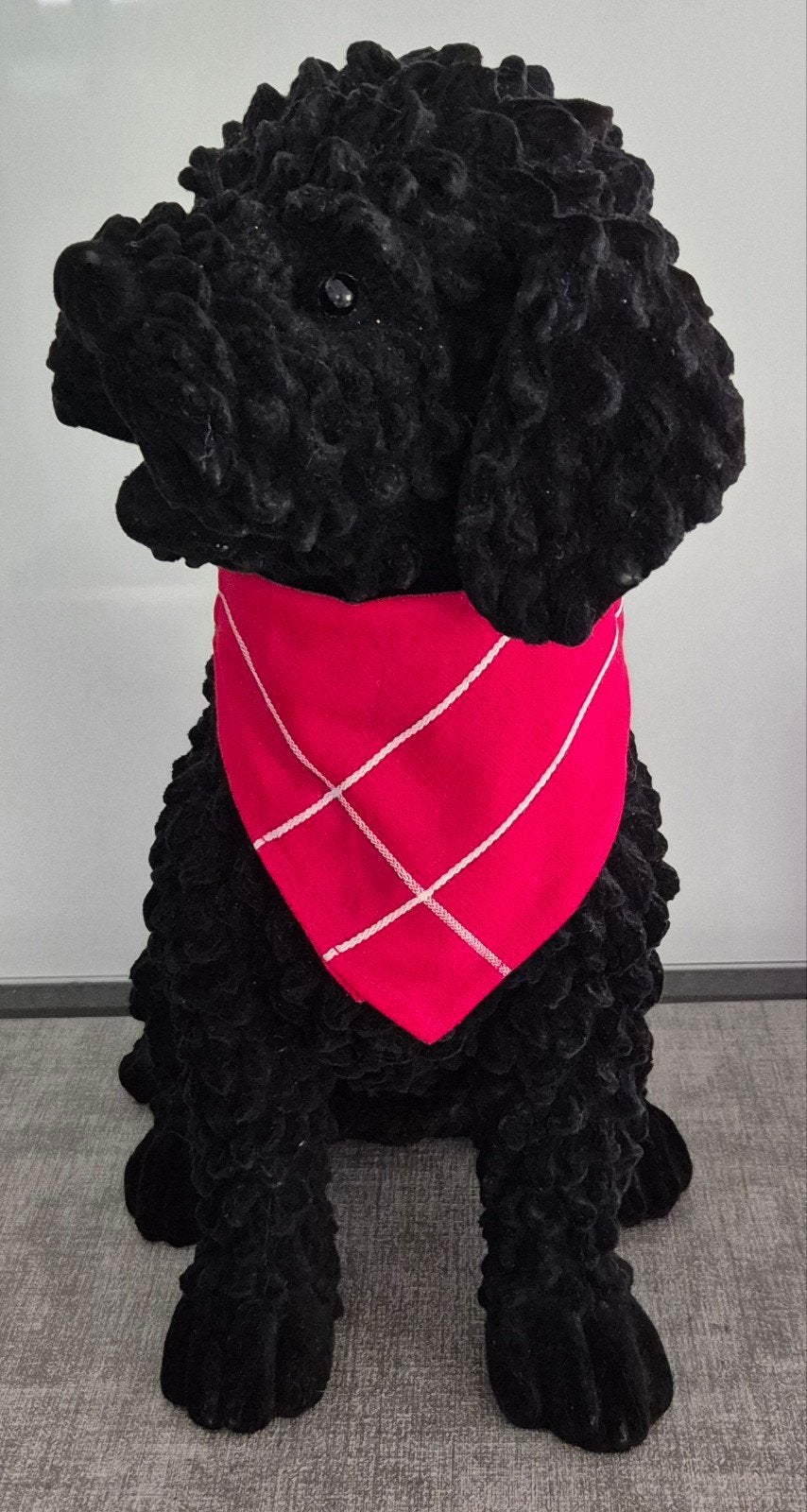 Belle statue de chien noir de luxe (Bolonka/Caniche) - 40 cm, Enlèvement