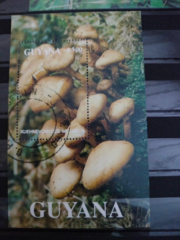 Gyana 1993 - champignons, Envoi, Affranchi