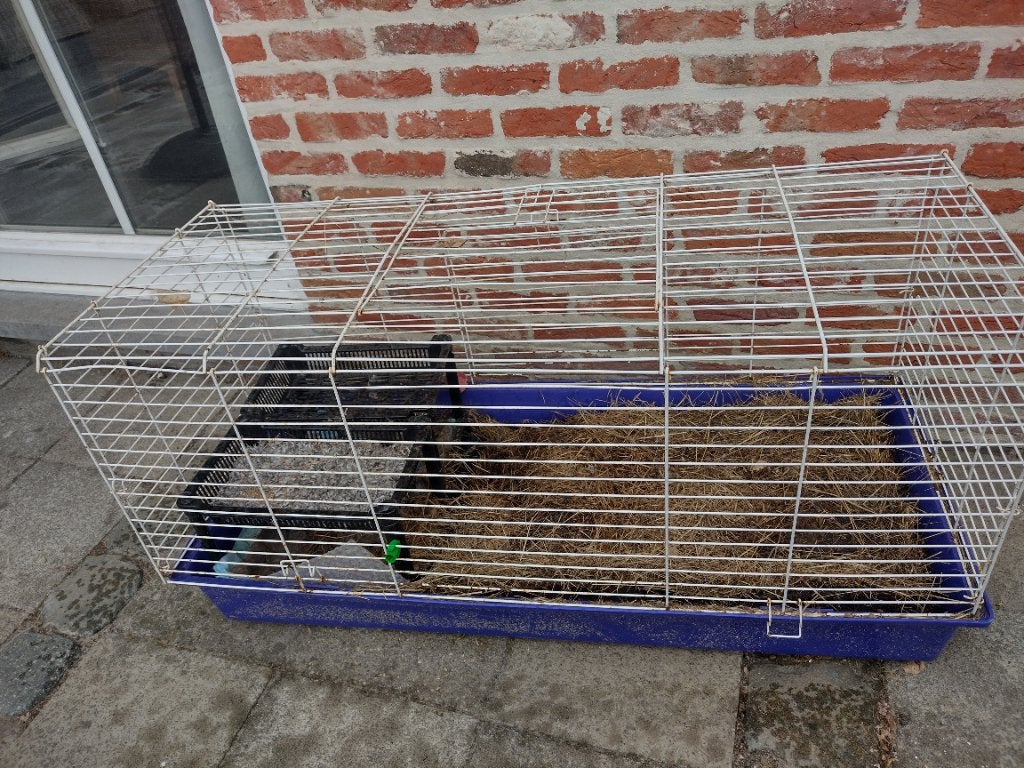 Grote kooi, Dieren en Toebehoren, Ophalen, Kooi, Gebruikt, 60 tot 90 cm