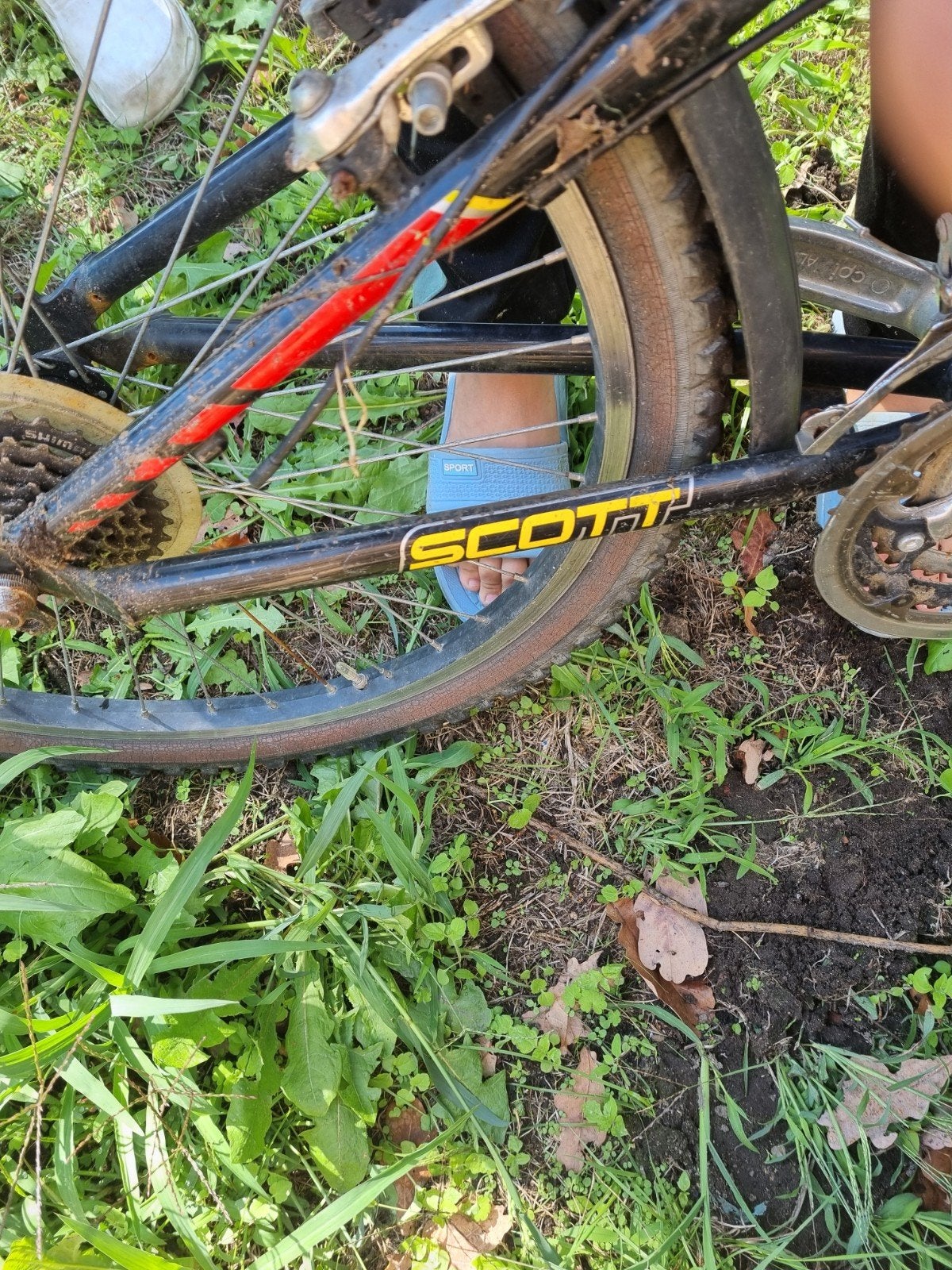 fiets, Ophalen