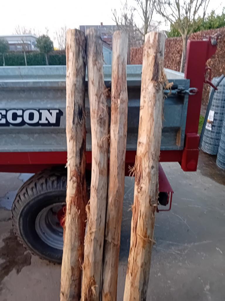 10 acacia palen, lengte 180cm dikte 10-12cm, Enlèvement, Comme neuf, Poteaux