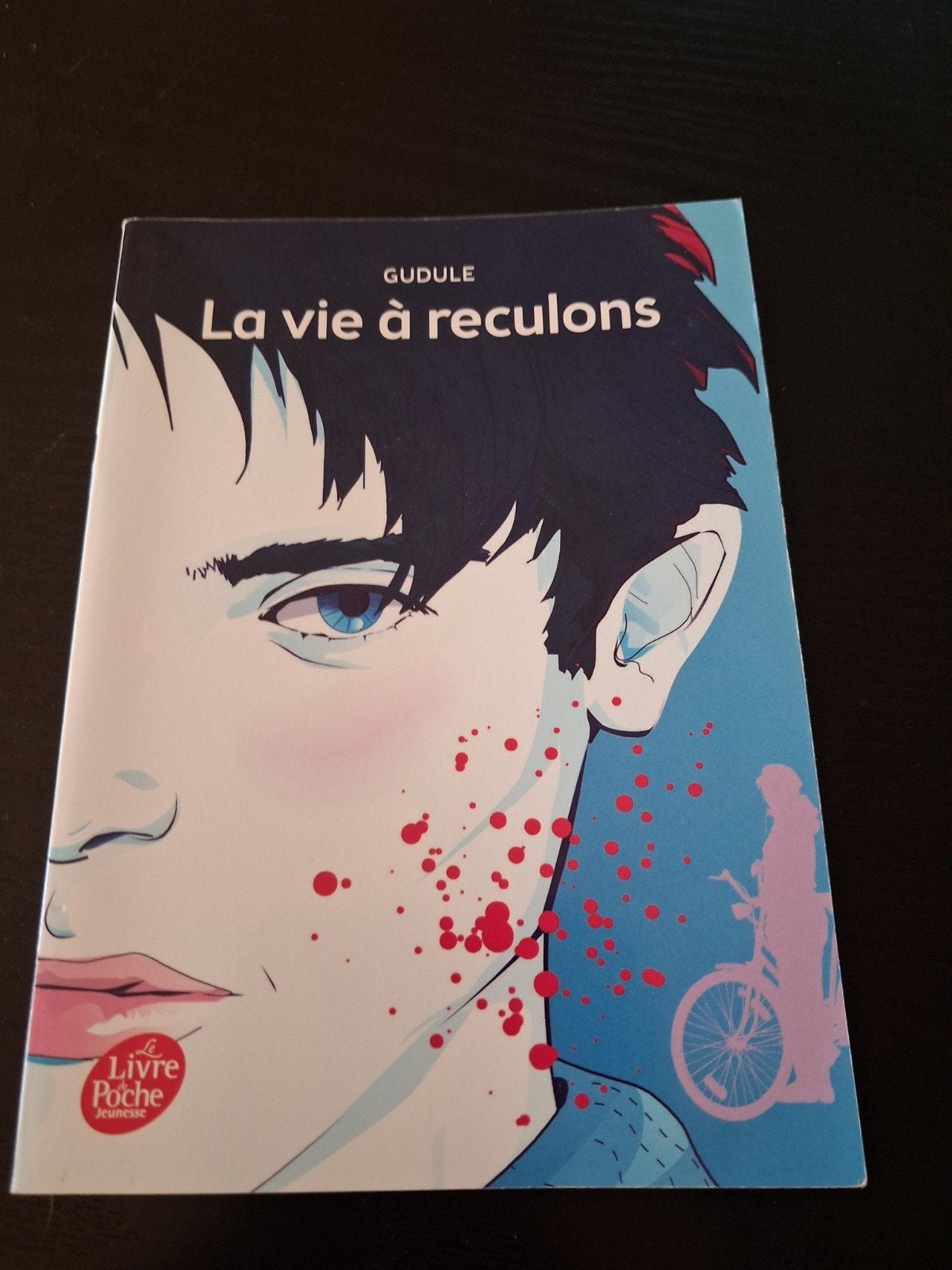 La vie à reculons, Ophalen of Verzenden