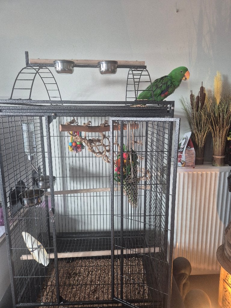 Papegaaienkooi, Ophalen, Zo goed als nieuw, Vogelkooi