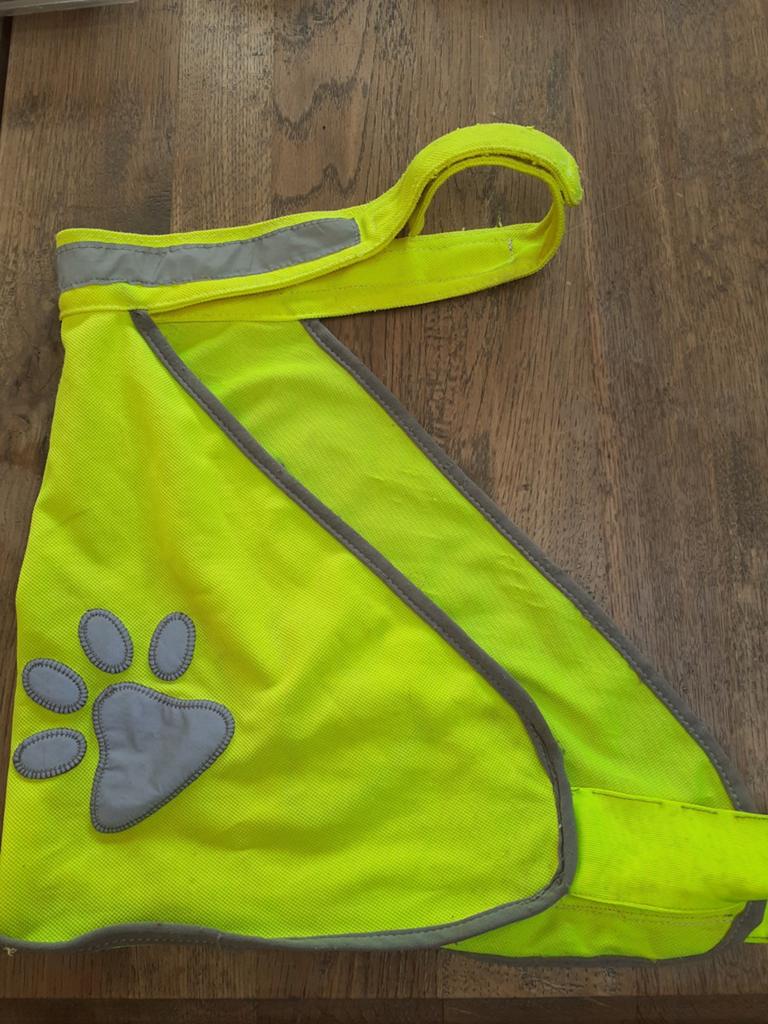 Pakket hond, Ophalen of Verzenden