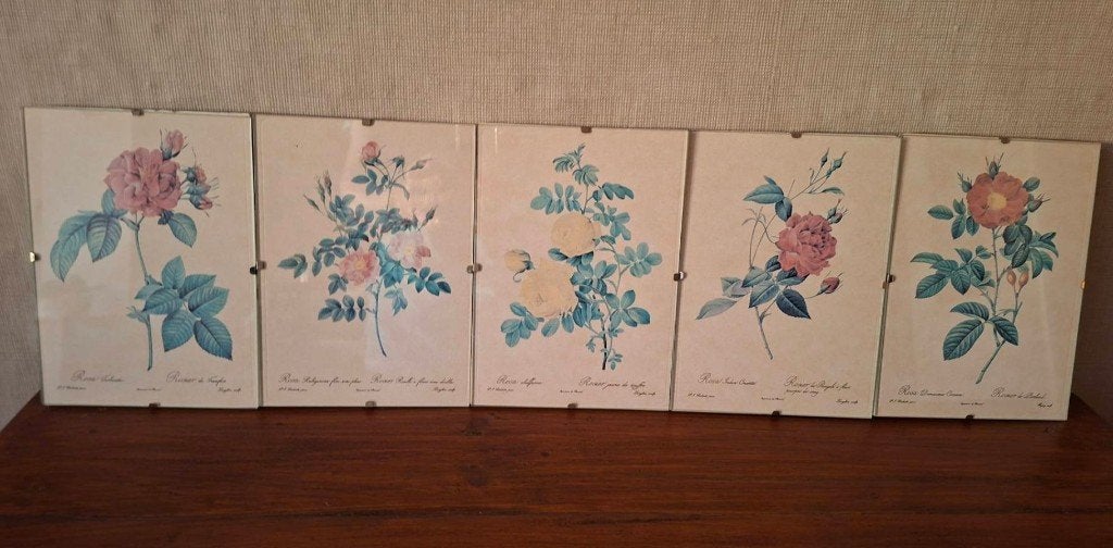 P.J. Redouté, Antiquités & Art, Sous verre, Aquarelle, Enlèvement, Classique