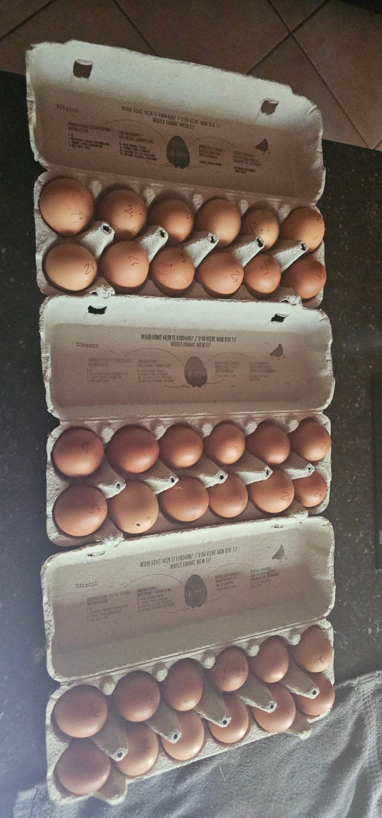 Verse eitjes te koop te Zonnebeke, Divers, Produits alimentaires, Enlèvement