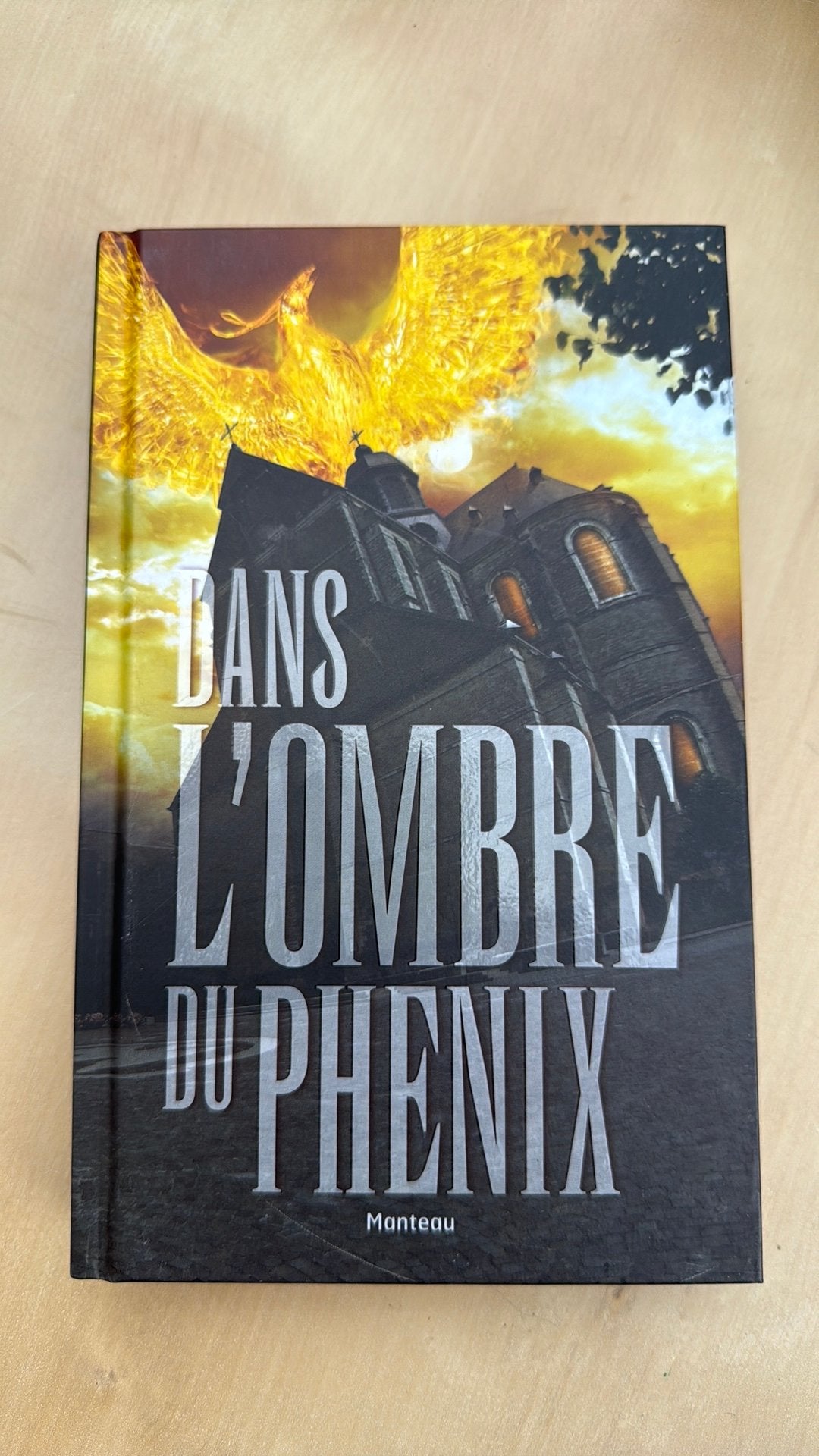 In de schaduw van de feniks- Dans l’ombre du Phenix, Boeken, Ophalen of Verzenden, Zo goed als nieuw