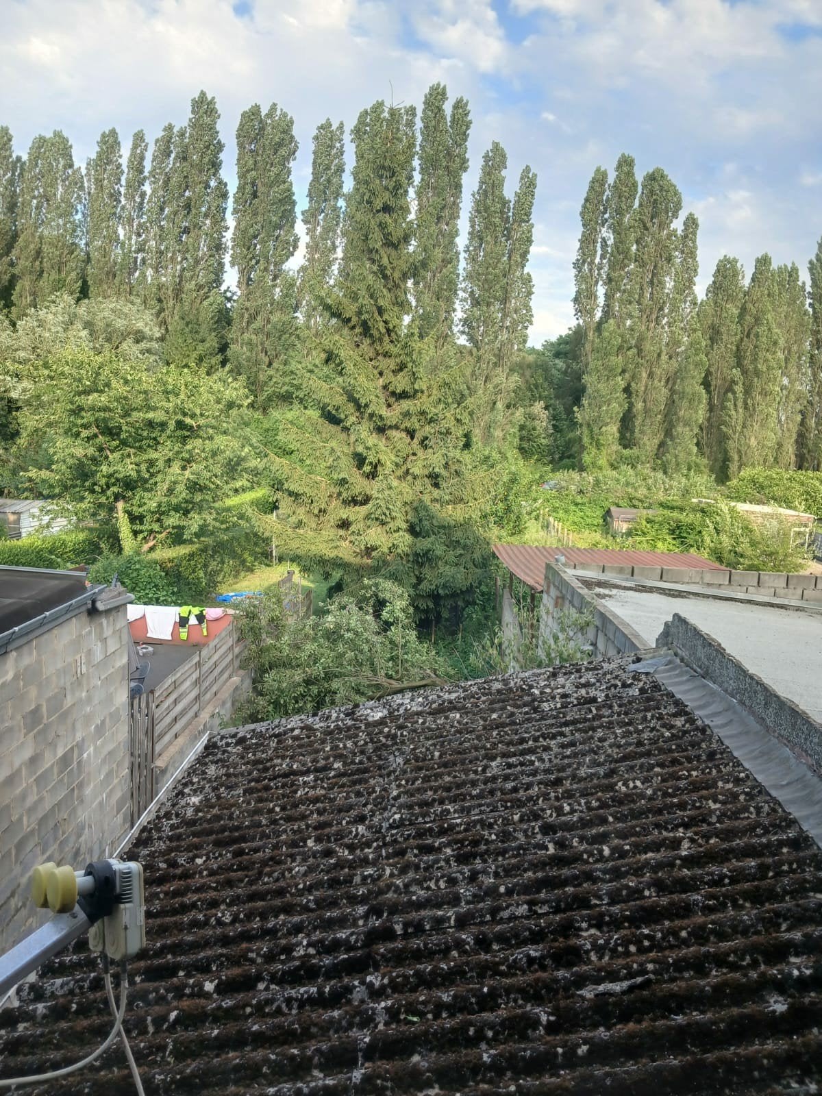 Jardinier à bas prix pour vous