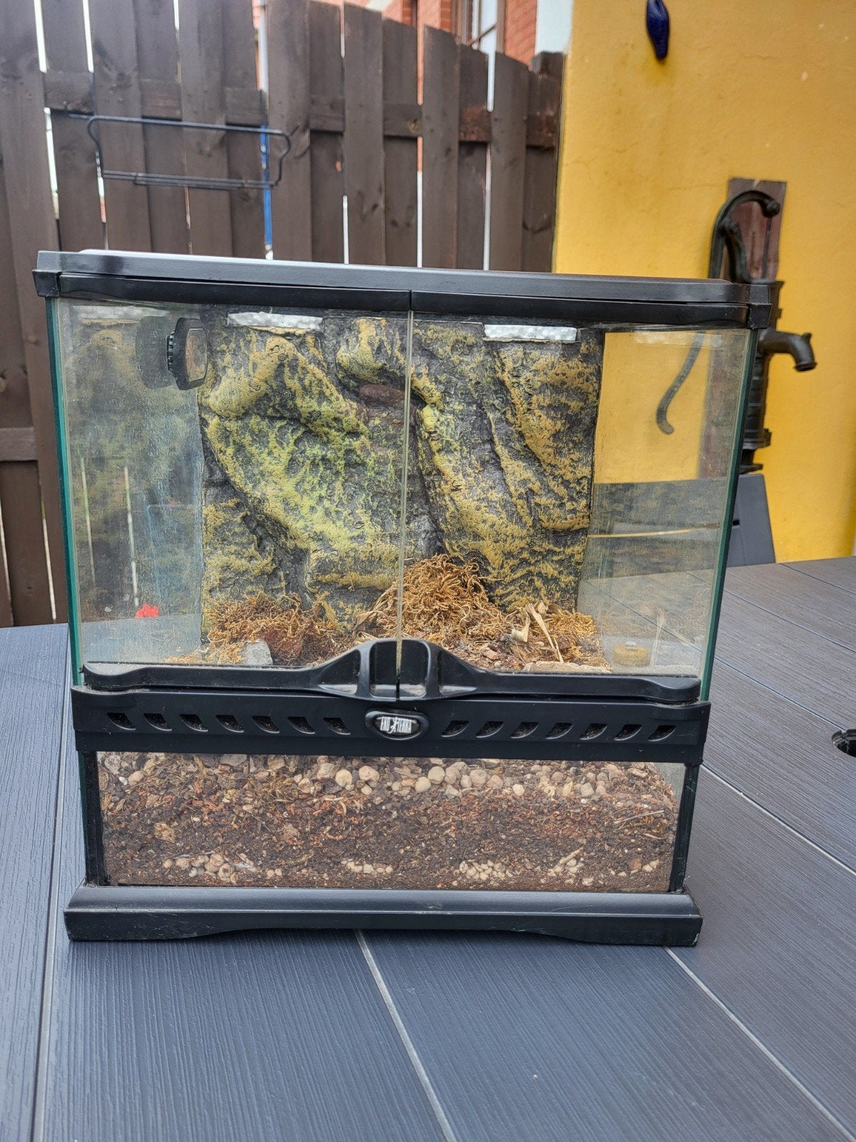 terrarium, Animaux & Accessoires, Enlèvement