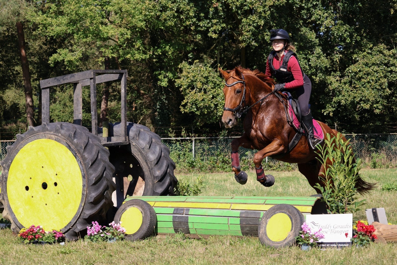 Prachtige allrounder merrie met gouden karakter, Dieren en Toebehoren, Pony's, 11 jaar of ouder, Recreatiepony, Merrie, E pony (1.48m - 1.57m)