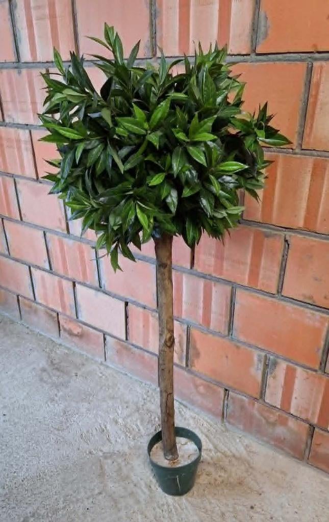 plante artificielle, Vert, Plante artificielle, Utilisé, Plastique