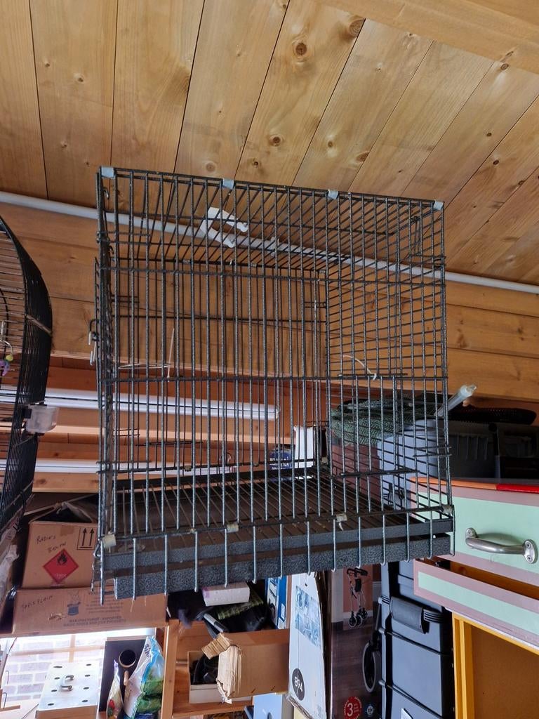 Transport vogelkooi, Dieren en Toebehoren, Ophalen
