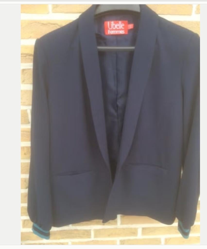 Gilet taille 42, Vêtements | Femmes, Pulls & Gilets, Enlèvement ou Envoi, Comme neuf, Taille 42/44 (L), Bleu